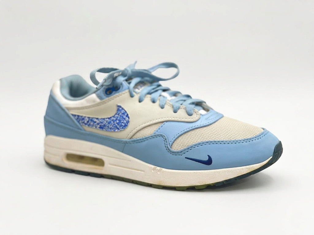 Nike Air Max 1 Premium 'Air Max